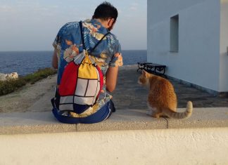The Island Cats Photo by Luisa Vannetti